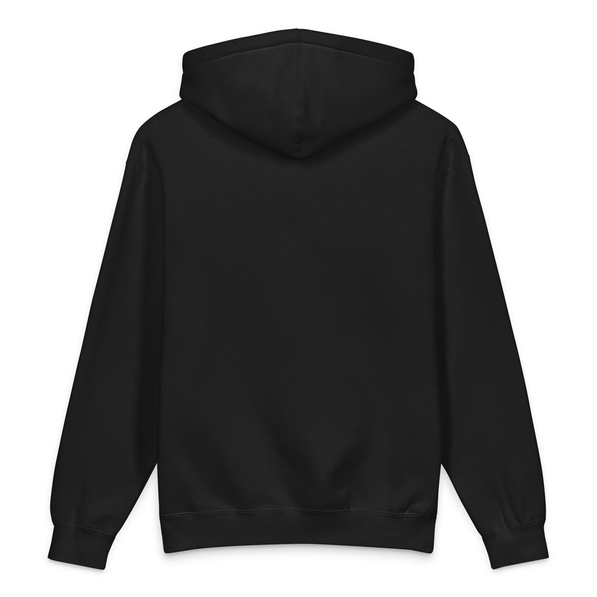 Finish First heavyweight hoodie in black, back view